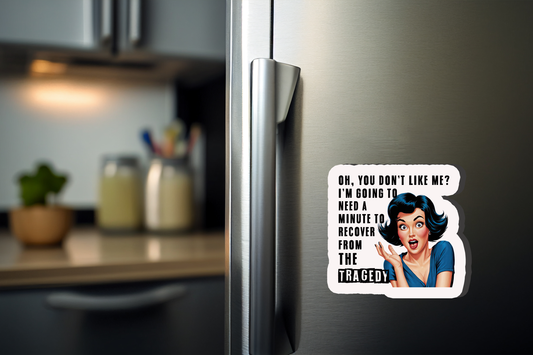 Oh You Don't Like Me? Magnet